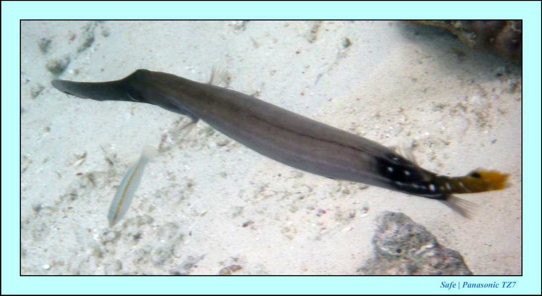 2009   07   Matakin 48